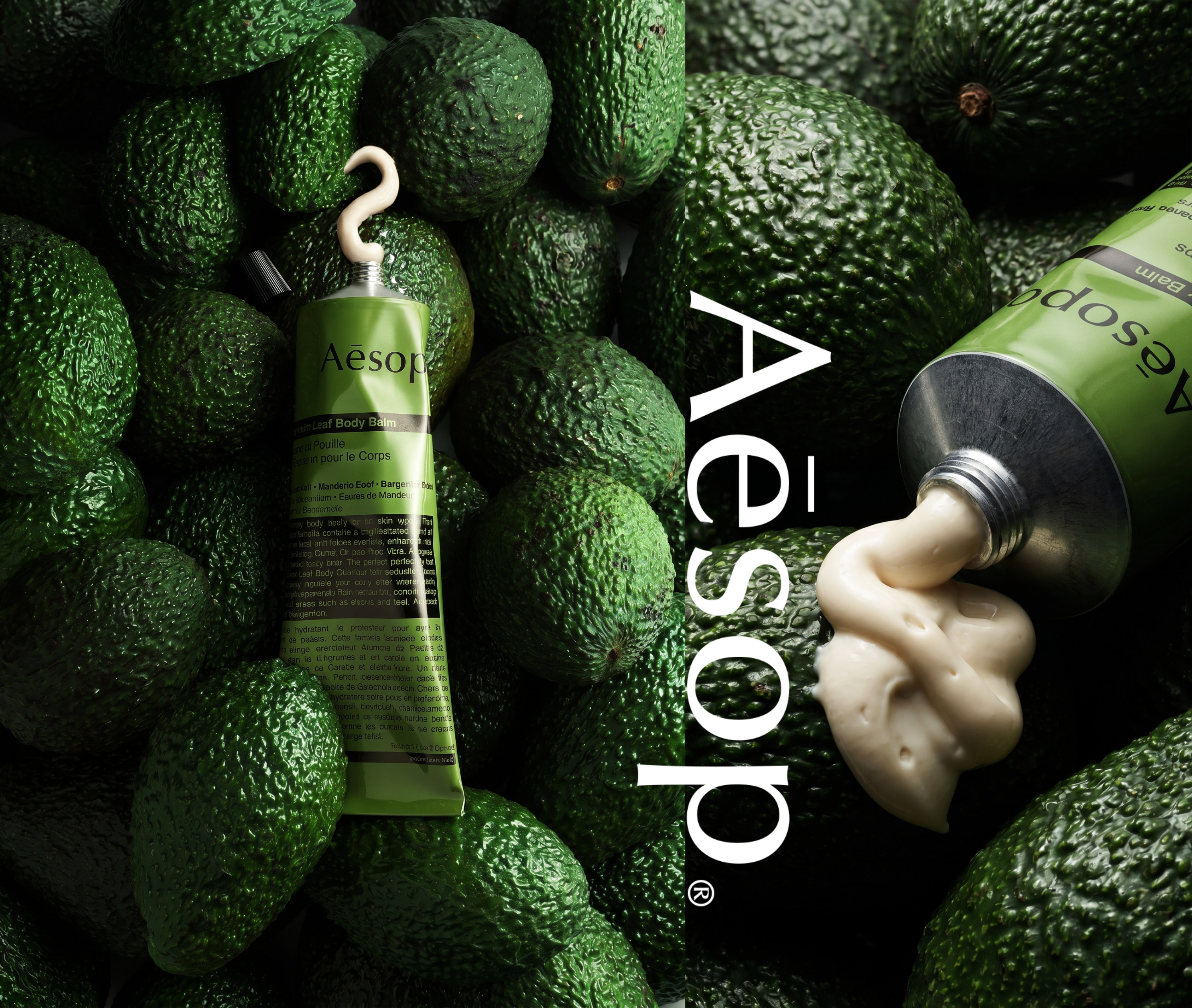 Aesop Campaign