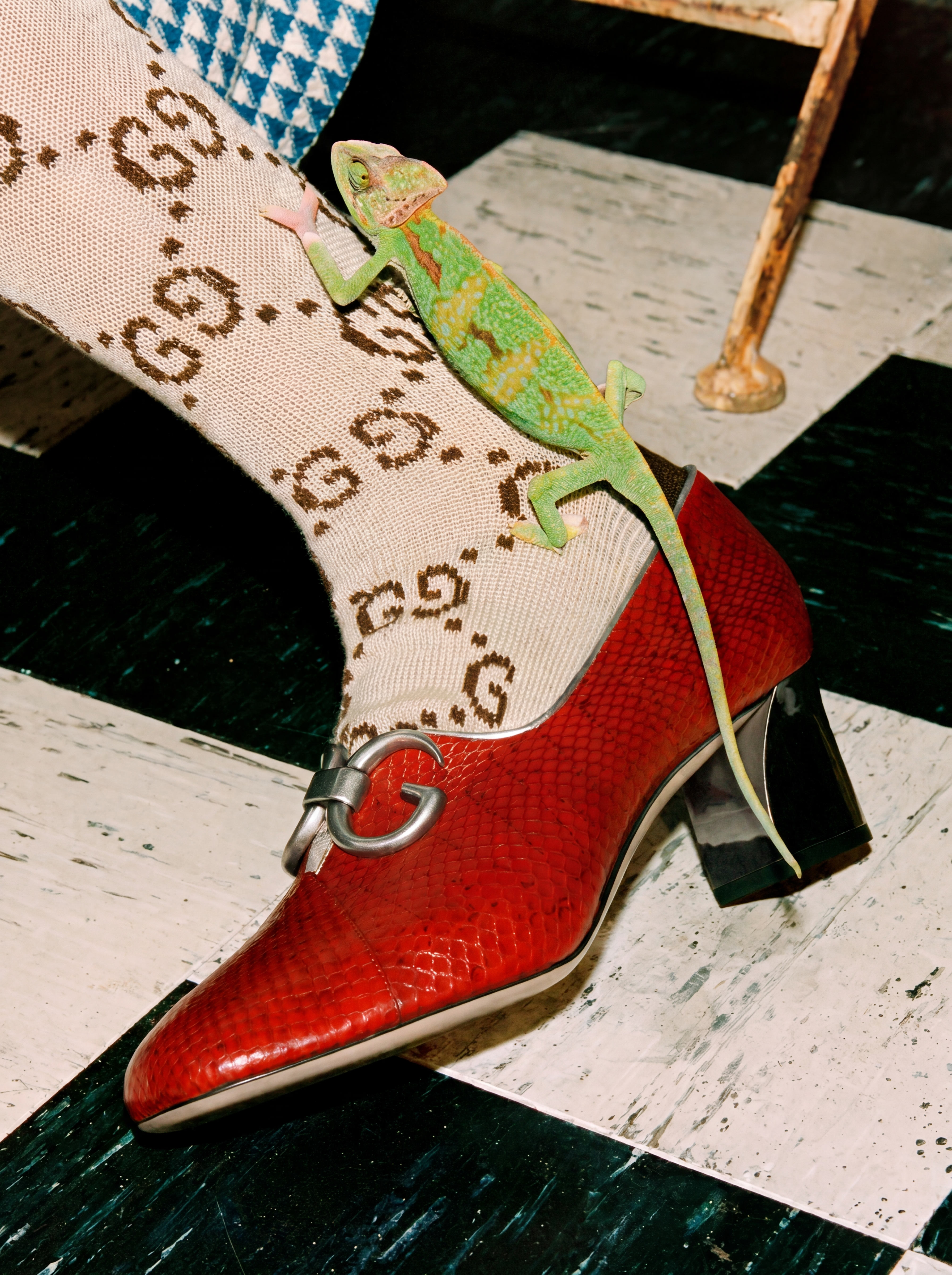 Gucci Shoe